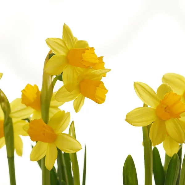 问鼎娱乐21点游戏